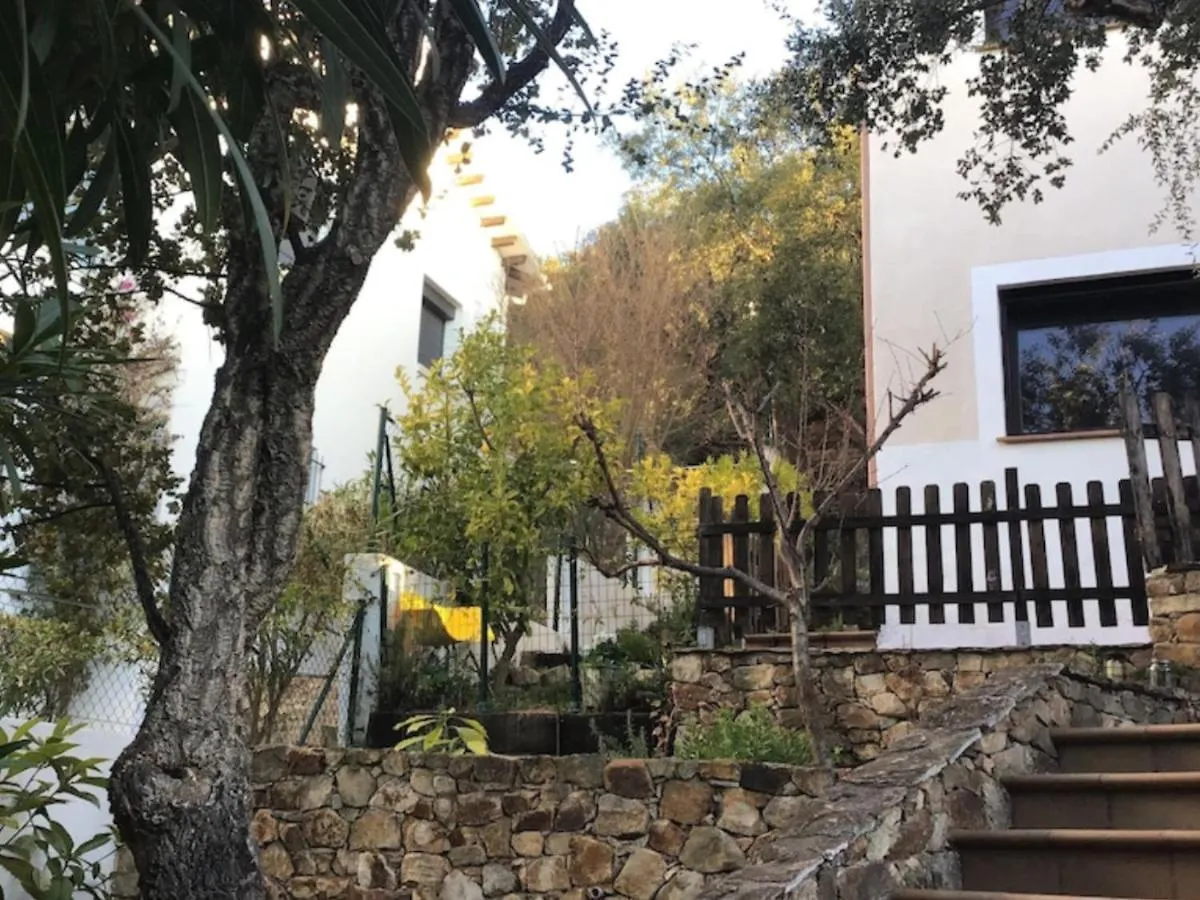 Cosy Apartment With Swimming Pool And Spacious Private Terrace Santa Cristina d'Aro